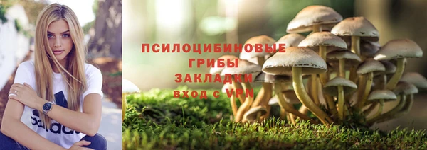 ПСИЛОЦИБИНОВЫЕ ГРИБЫ Балахна