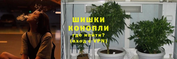 ПСИЛОЦИБИНОВЫЕ ГРИБЫ Балахна