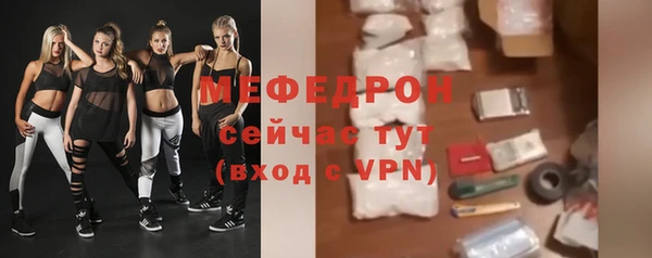 СК Снежногорск