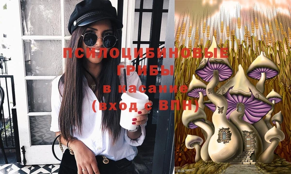 эйфоретик Дубна