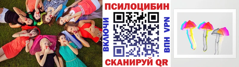 OMG маркетплейс  Шиханы  Псилоцибиновые грибы ЛСД 